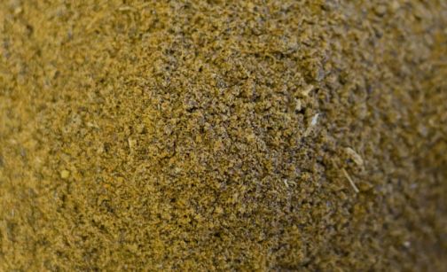 BroadGrain 引领全球的加拿大农产品加工与谷物销售巨头