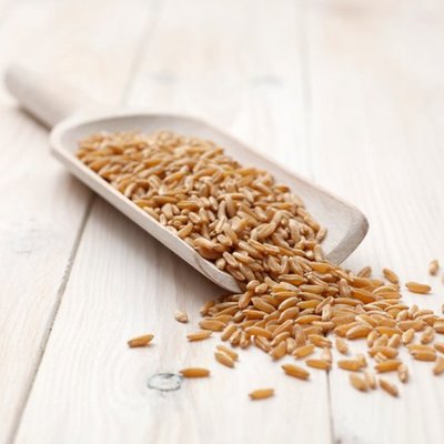 大米、杂粮与化肥 了解我们的日常主食