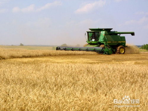 商品谷物农业中的化肥销售 关键知识与策略总结